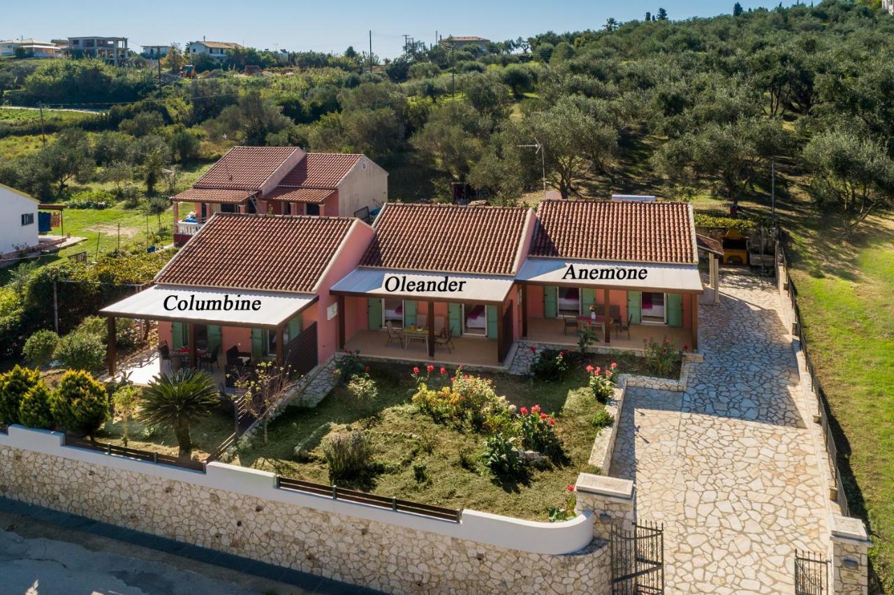 Garden Apartments Agios Stefanos Corfu Agios Stefanos Avliotes  Luaran gambar